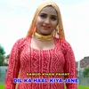 About Dil Ka Haal Kiya Jane Song